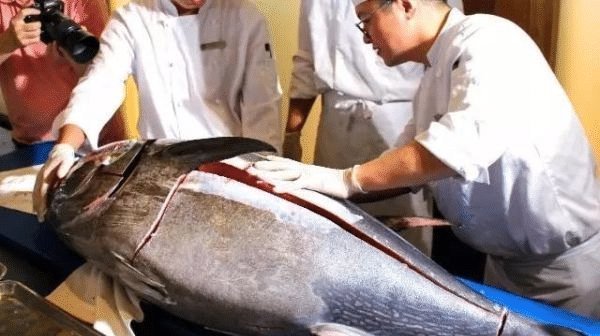 世界上最好的海鲜中国只有一个名单上的网民连壳都吃不到