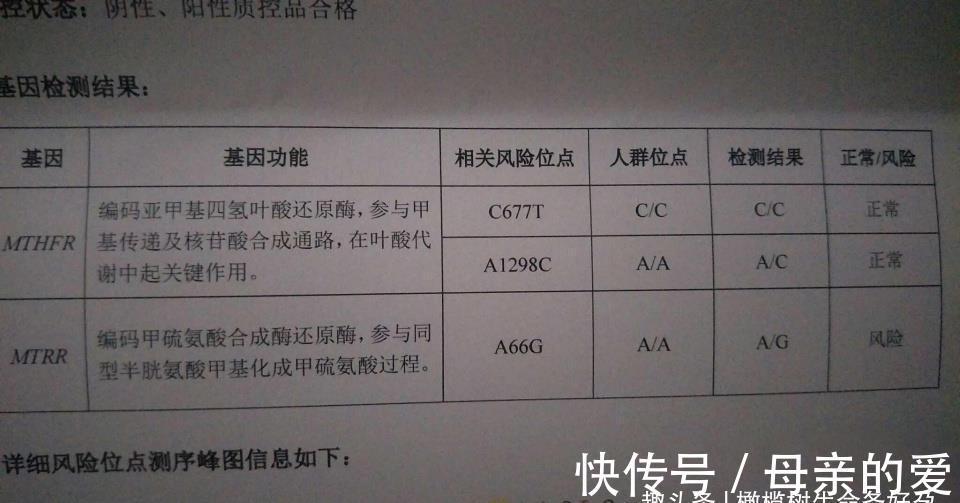 备孕|备孕期间,叶酸应该怎么吃?什么时候开始吃?