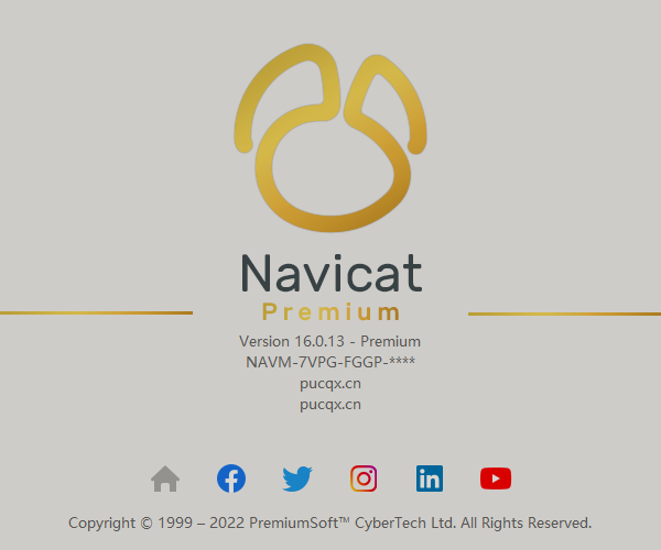 数据库管理软件 Navicat Premium for Win v16.0.13 特别版 完美激活