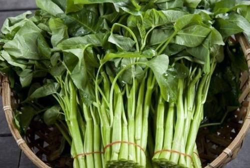 中医医|会吃的人最长寿,三种食物离不开,排毒养颜,有益健康!