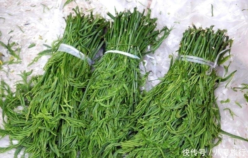 蕨菜|它才是真正的“野菜之王”，生长之地堪称仙境，却常被误认成蕨菜