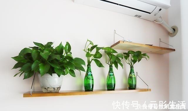 一居室|看腻了北欧风,43㎡一居室靠超美配色做到了优雅高级!