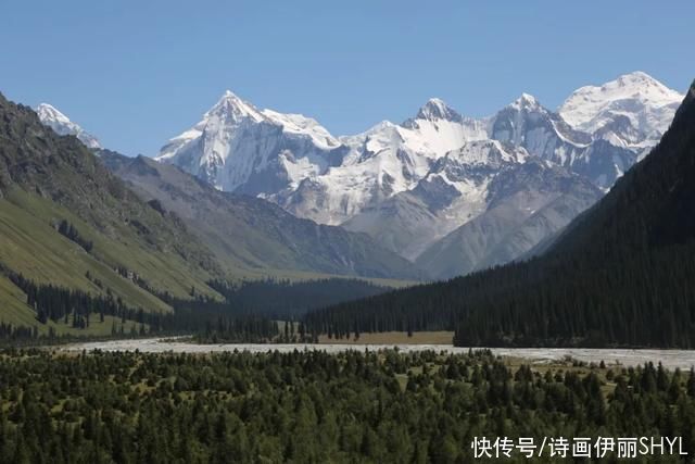 新疆草原篇:昭苏夏塔