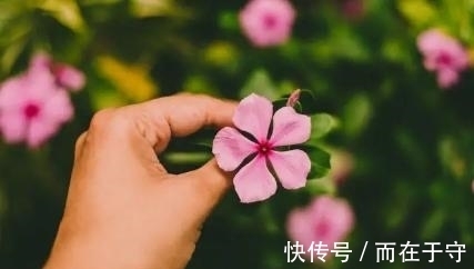 脾气|脾气好人品好的4大生肖，为人处事有耐心，不会轻易翻脸