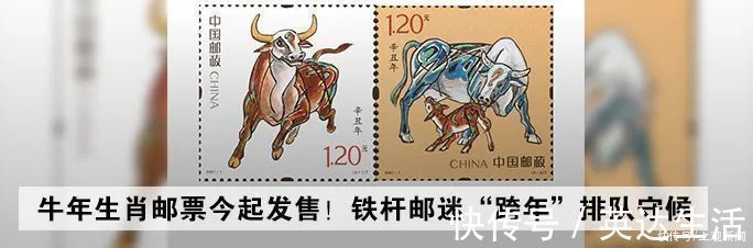 玻璃杯|用错水杯等于喝“毒”!玻璃杯、不锈钢杯……最安全的水杯居然是?