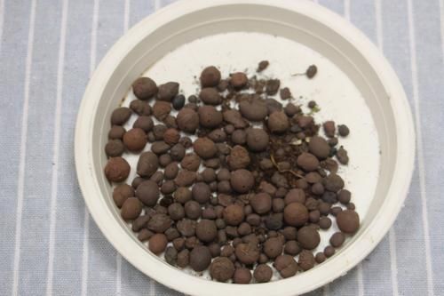 新人花友：养花怎么选土，预防土壤板结？加它们！