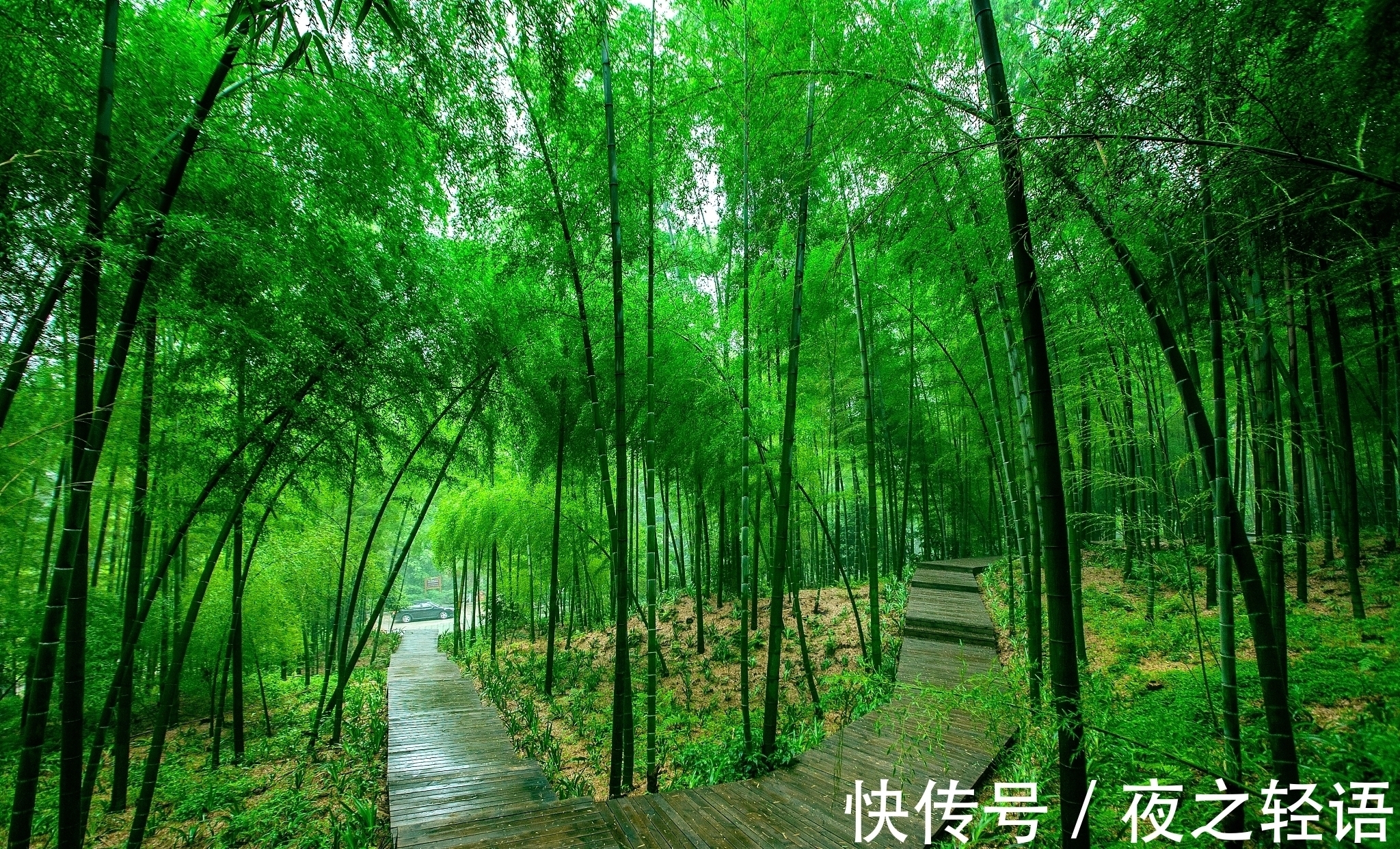 唯美#5首富有意境的诗,每一首都写得唯美如画,值得细细品味