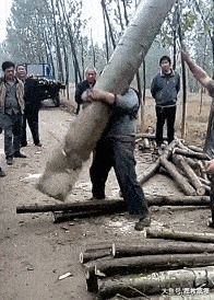 |搞笑GIF：小姐姐过个生日还被嘲讽单身，下次我陪你过吧！