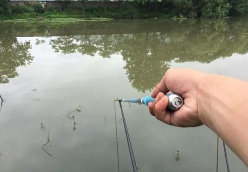 导致的鱼不吃饵|野钓河里鱼真多,就是不吃饵,有些情况就是钓鱼人自己造成的
