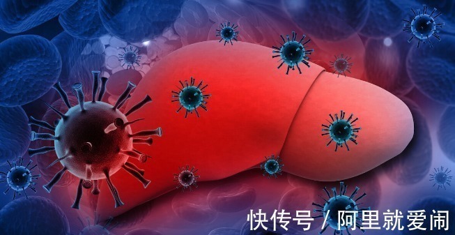 氨基酸|每天吃一颗鸡蛋和从来不吃的人有何不同,看了这四点,就明白了