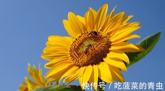 旧爱|7月底，相濡以沫，破镜重圆，桃花旺盛，月老眷顾的生肖