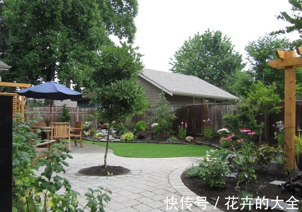 树木|头次见这种庭院，有花草树木、鱼塘、泳池、凉亭，真让人羡慕不已