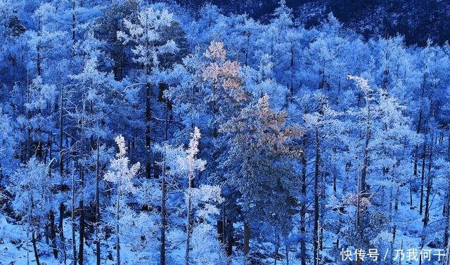  竹林|七绝《雪吟》十章 作者竹林听涛