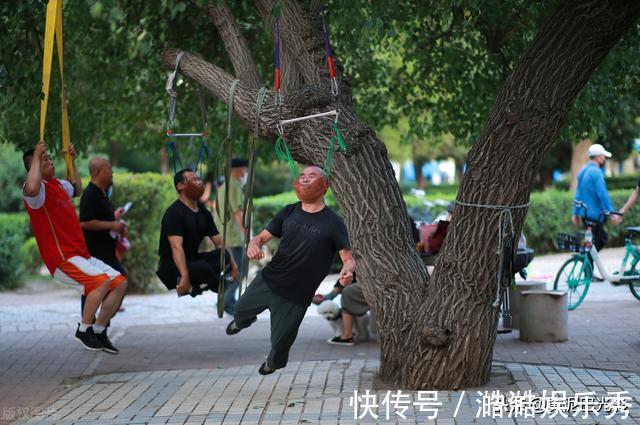 低头族|沈阳1棵大树上“吊满”许多大爷，知情人说这有名堂，看是啥