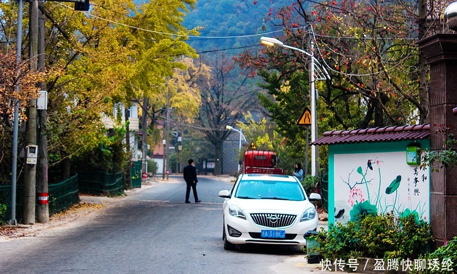 柿子|长兴有一个美丽的小山村，它的名字叫石岕口，仿佛静谧的山水画般