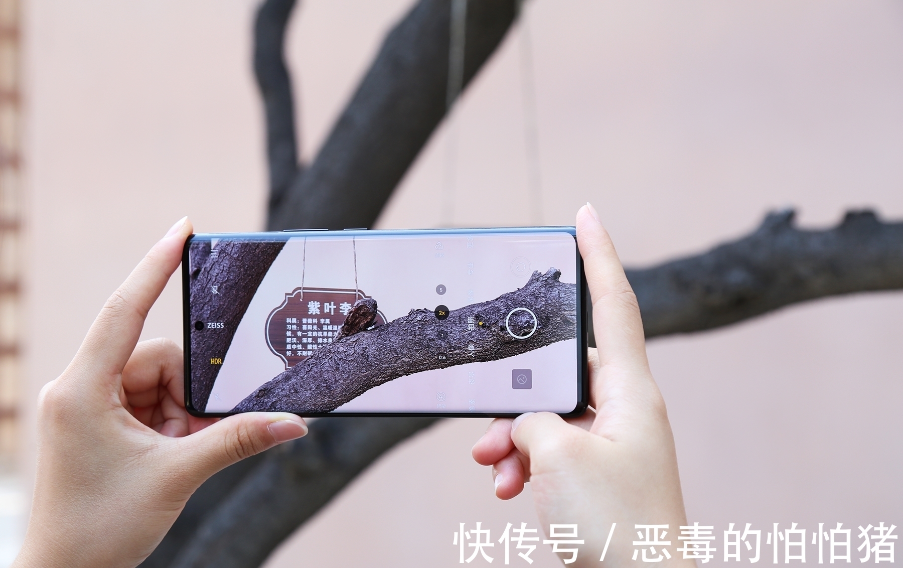 人像|vivo X70 Pro+ 评测：提前「预定」年度安卓机皇？