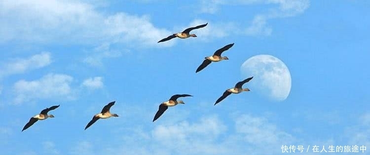 幽默|欧阳修的一首千古名作,看似幽默实则悲凉,尾句最让人浮想联篇