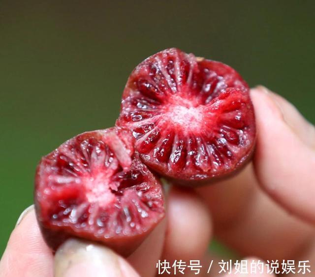 癌症|水果界的新宠,不仅口味鲜甜,营养丰富,更具药用价值,来了解下