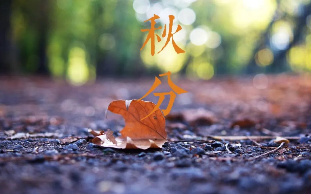 秋天&诗词丨又是一年秋分至，秋夜渐凉情渐长