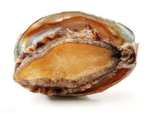 回答|吃鲍鱼时,店员问要“几头”,最好这样回答,不然会闹笑话