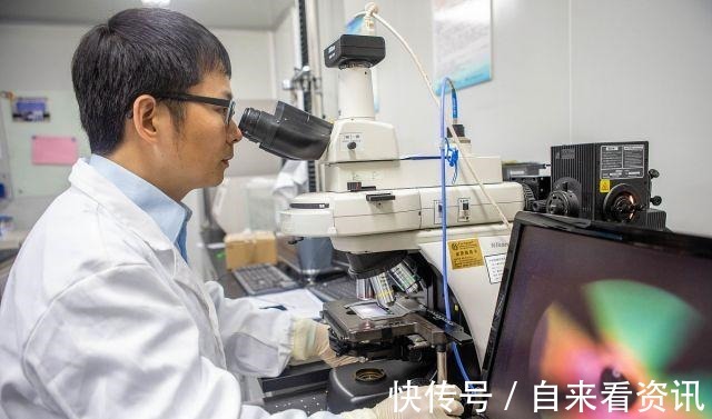 五指橘|天然防癌食材找到了!大家吃一点,或许能有用,别再傻傻忽视了