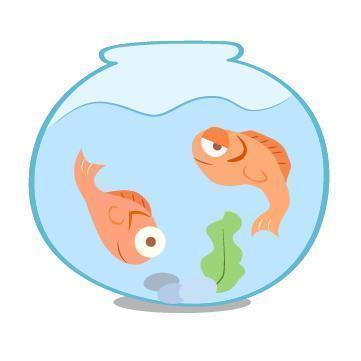 双子座|屡次受到伤害,很容易遇到渣男的星座女,真心托付错的人