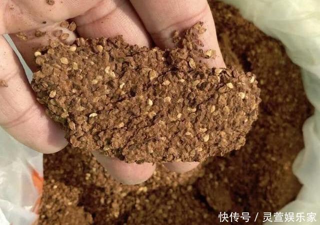 比例|养花施肥“老三样”，掐准时间，看准比例，养一盆爆一盆