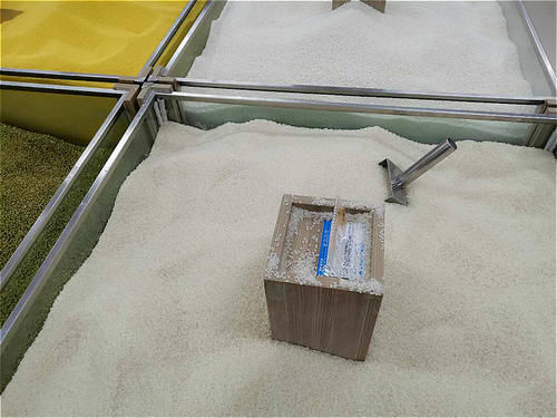 才知道,袋装米和散装米,差别这么大!以前都选错了,难怪米不香