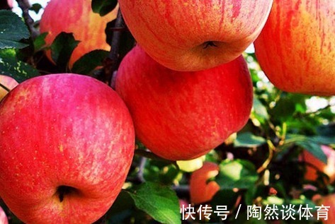 健康|“晚上吃苹果”,对健康是利是弊?很多人不清楚,不妨一起了解下