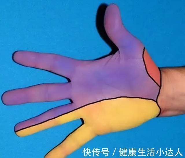 吸烟者|血脂异常：超4亿国人的困扰，睡觉时有3个表现，多半已中招