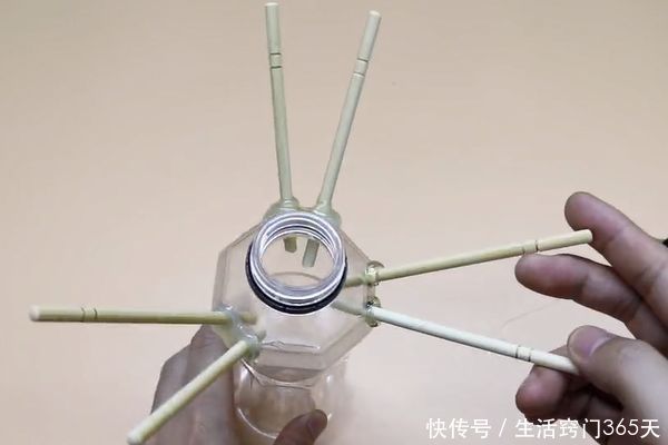 塑料瓶上插几根筷子,放在家里好看又实用,赶快动手做一个吧!