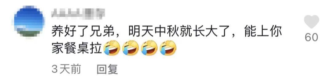快递|68元网购20只大闸蟹！男子打开快递瞬间懵了！意想不到哈哈哈
