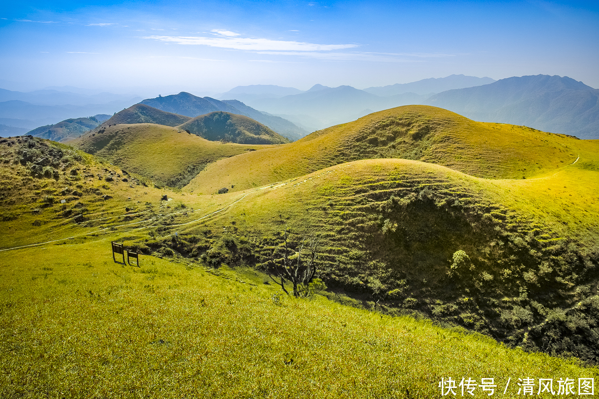 景色|景色迷人、没有门票的景区：阳春鸡笼顶，广东的万亩高山大草原