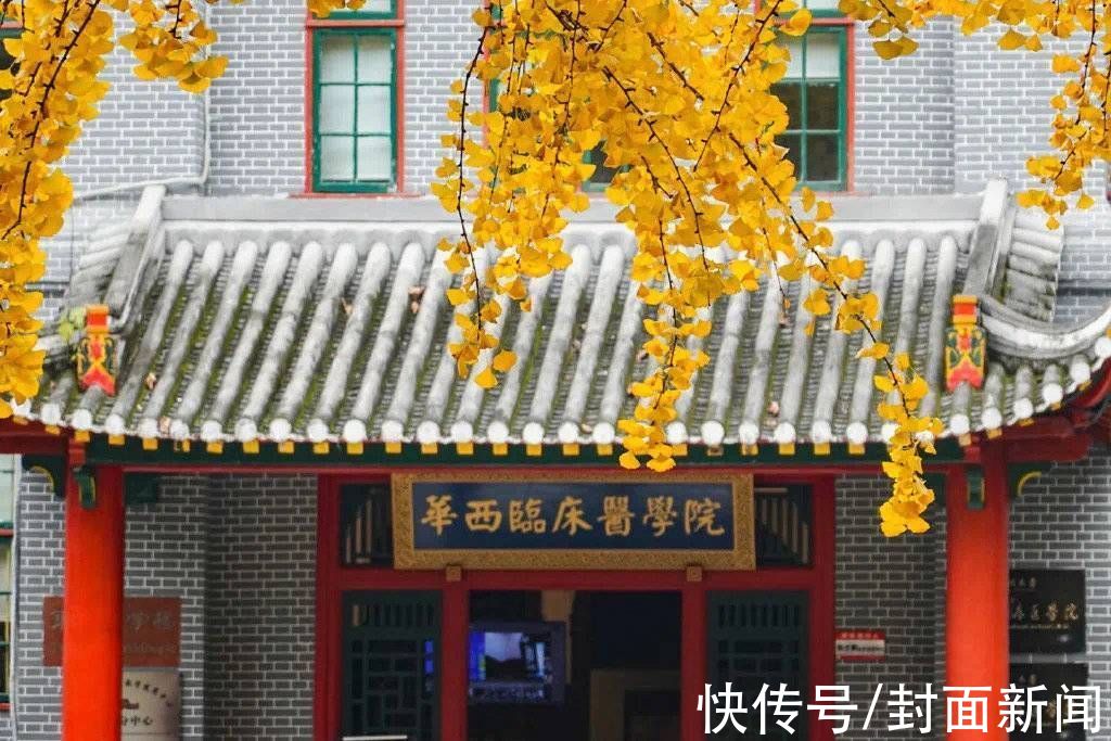 成都信息工程大学|多图警告｜数数川内高校到底承包了多少棵银杏树？