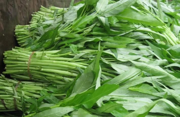 它是菜市场常见的蔬菜，多数人只知道别名，学名见到了也不会念