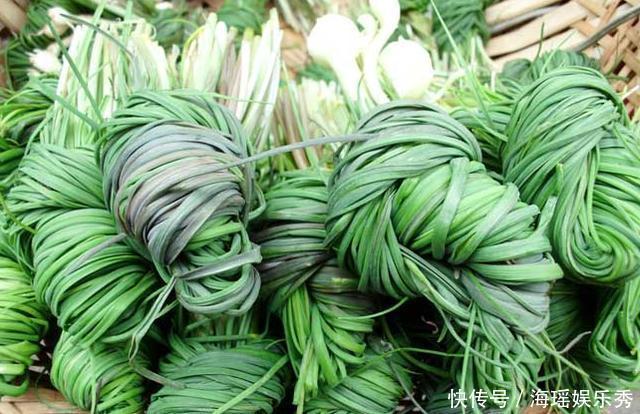 成片|长得像小葱,春季的野外成片生长,用来炒蛋简直太好吃了