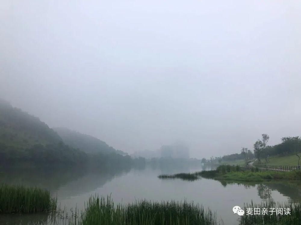 课本|小学课本里的名言、俗语、谚语大全,胜过背诵范文!