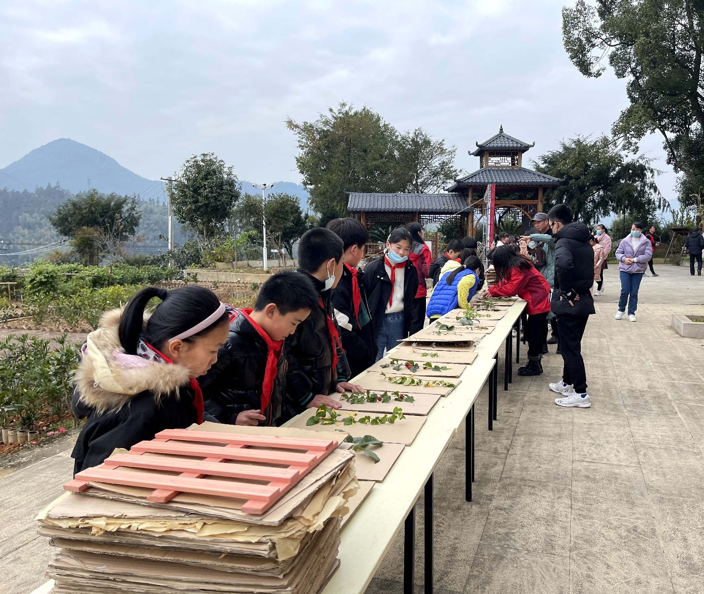 福建省|永泰县举办福建省中医药文化教育试点赠书仪式暨开课日系列活动