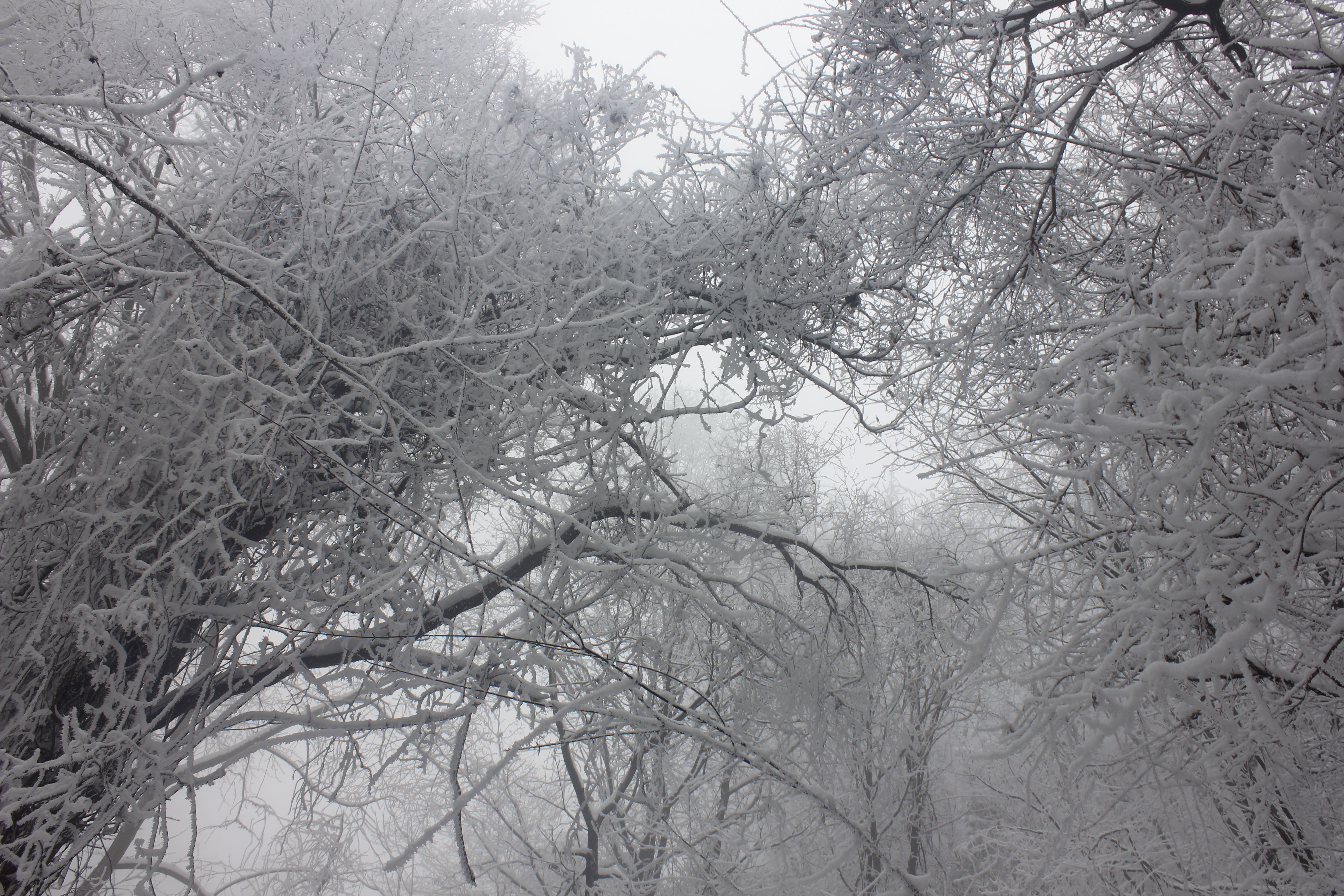 征集|【年末福利征集】雪后南五台幸遇云海