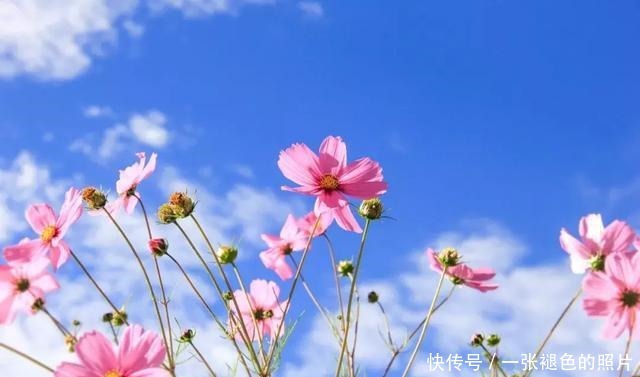 山中|席慕蓉|我曾踏月而来,只因你在山中