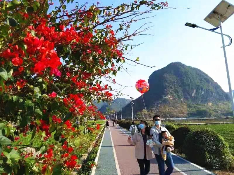 就地发掘新年味，云浮本地游成为新年俗