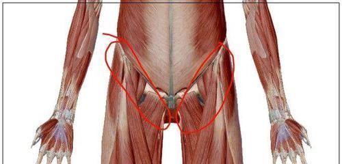 脾胃|湿气重、脾胃弱、气血虚怎么办?这2个祛湿健脾妙招,适合每个人