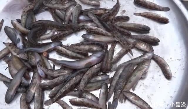 从前|大妈路边卖“它”,从前都泛滥成灾了,眼下却成了宝,1斤也难求