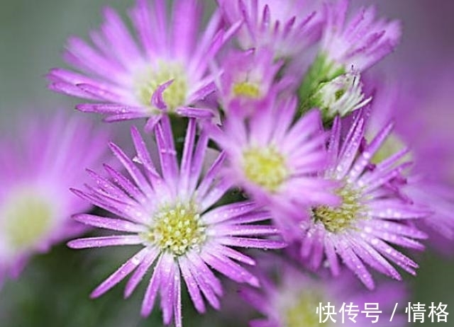 周易·系辞下|易经:一个家庭最大的悲哀,是把这四个秘密,说给别人听