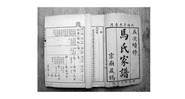 江汉壶瓶套马氏宗族网:传承与创新的结合