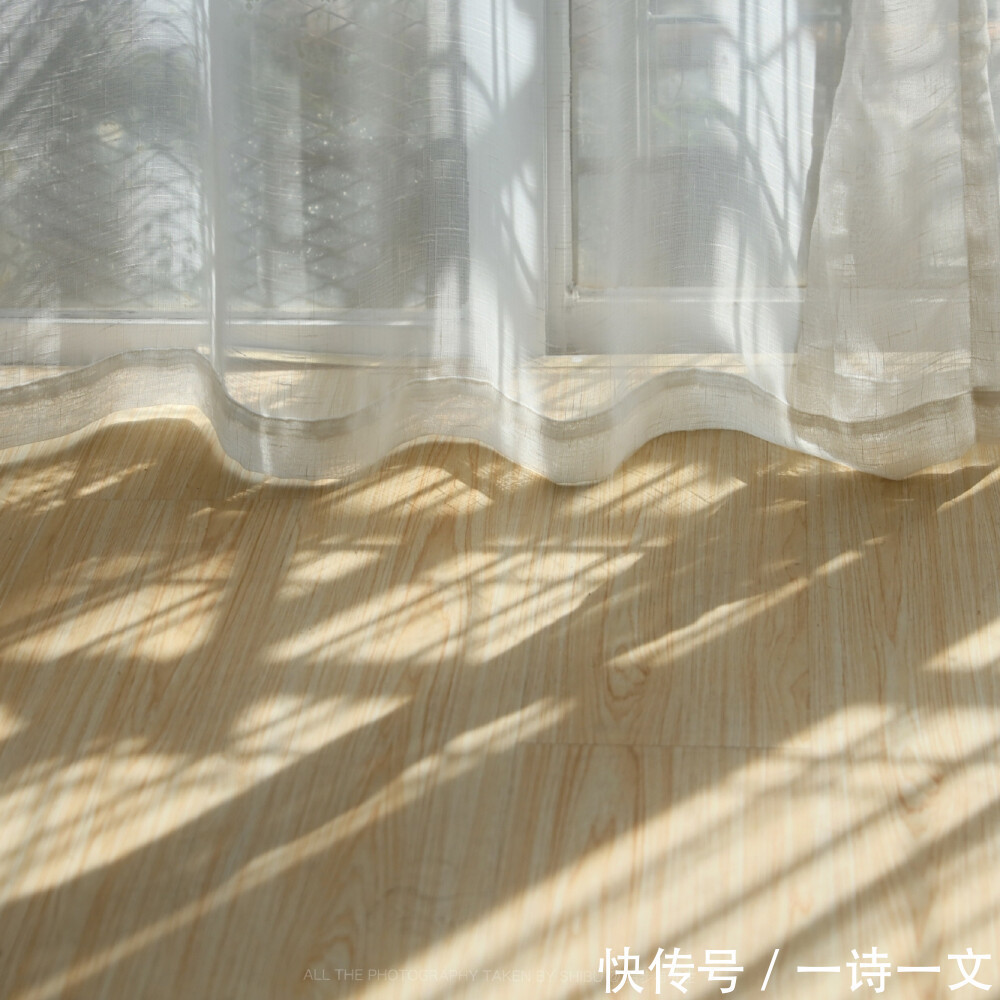 眼处|山川历遍,不及你眉眼,抬眼处四方寂静,如冬雪消融,刹那心动