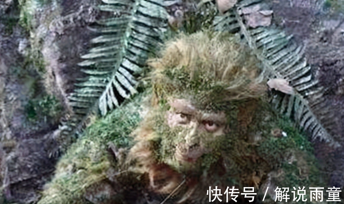 卜揲蓍|菩提祖师有个高招,孙悟空还不愿去学,直到多年以后,才追悔莫及