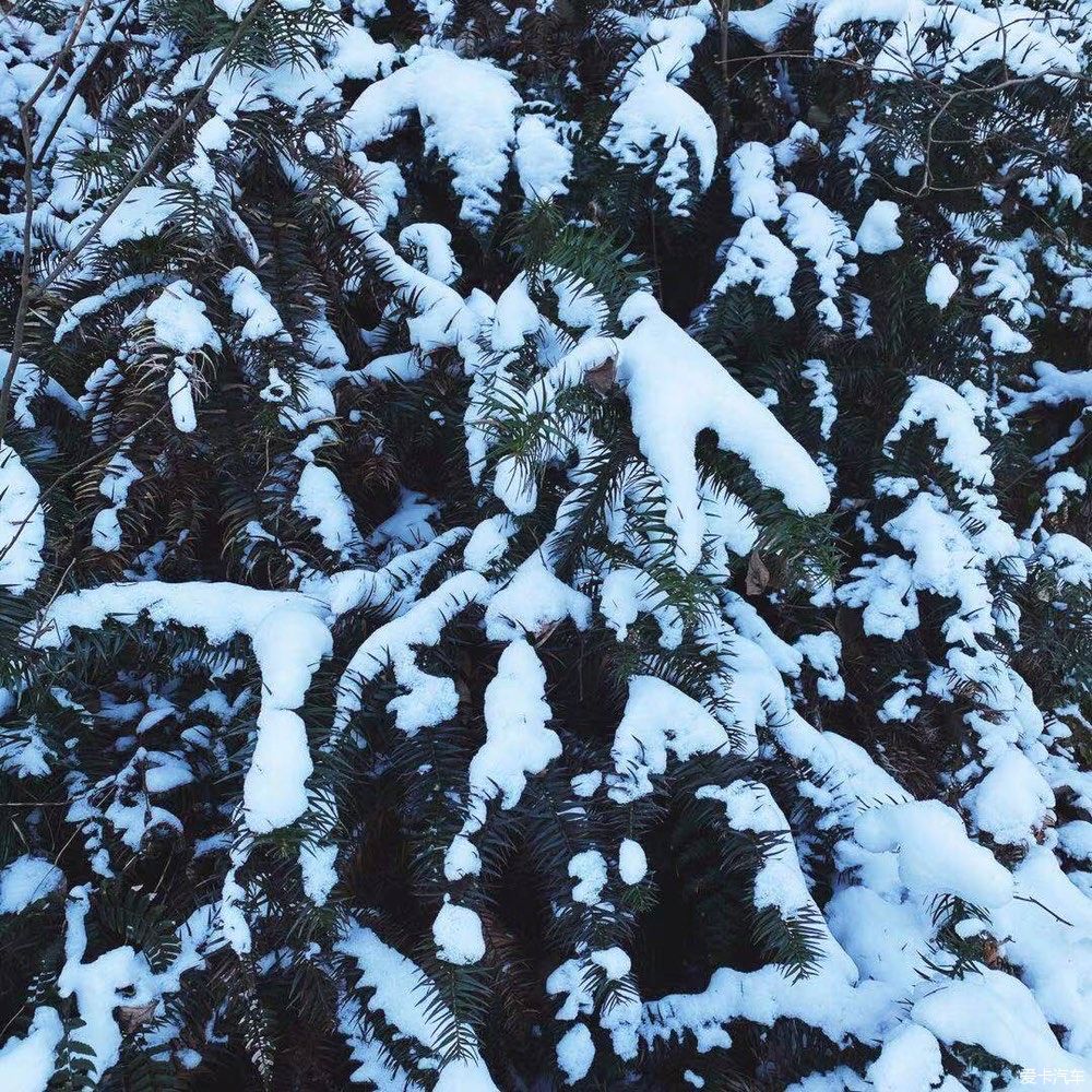 句容茅山，一个地处长江中下游南岸的金陵御花园