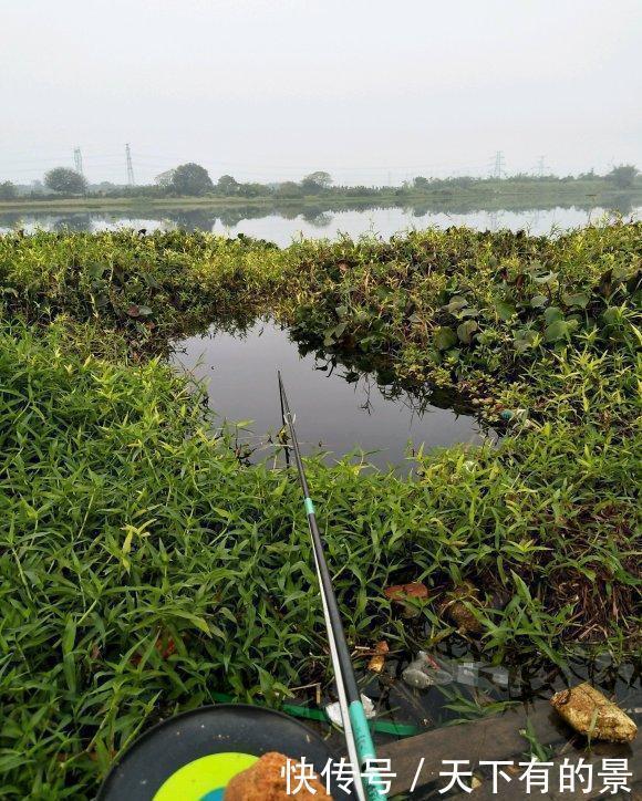 冬天|冬天野钓江河攻略，鱼儿都藏在这些地方，用对饵料一定有收获