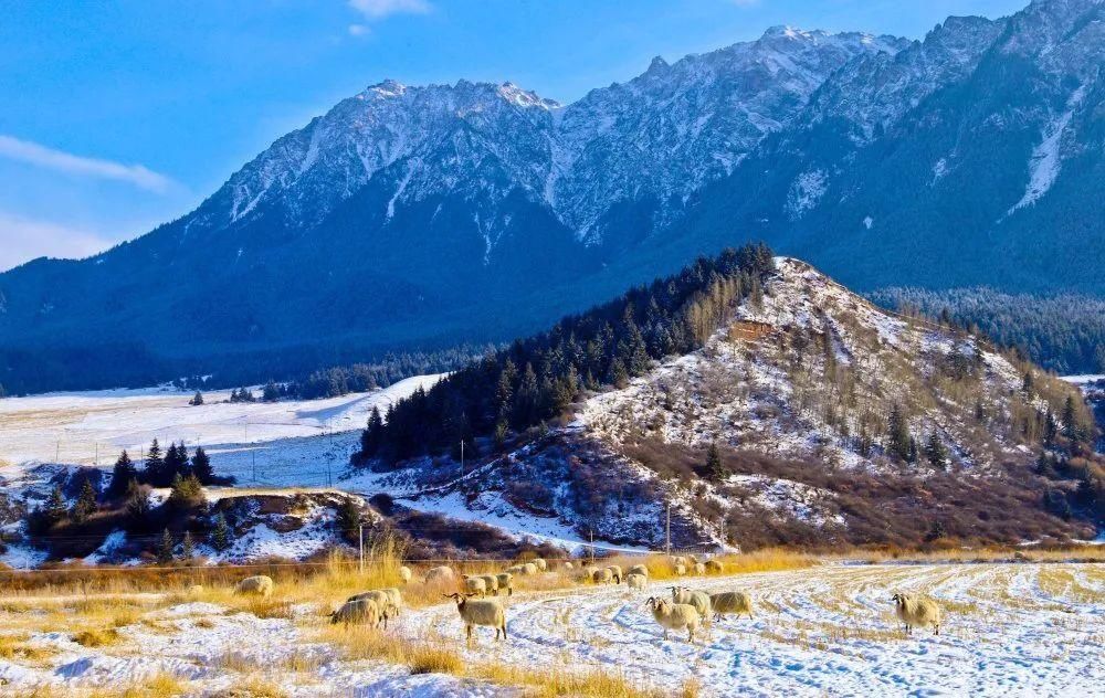 祁连山|【组图】肃南：雪后祁连山分外妖娆